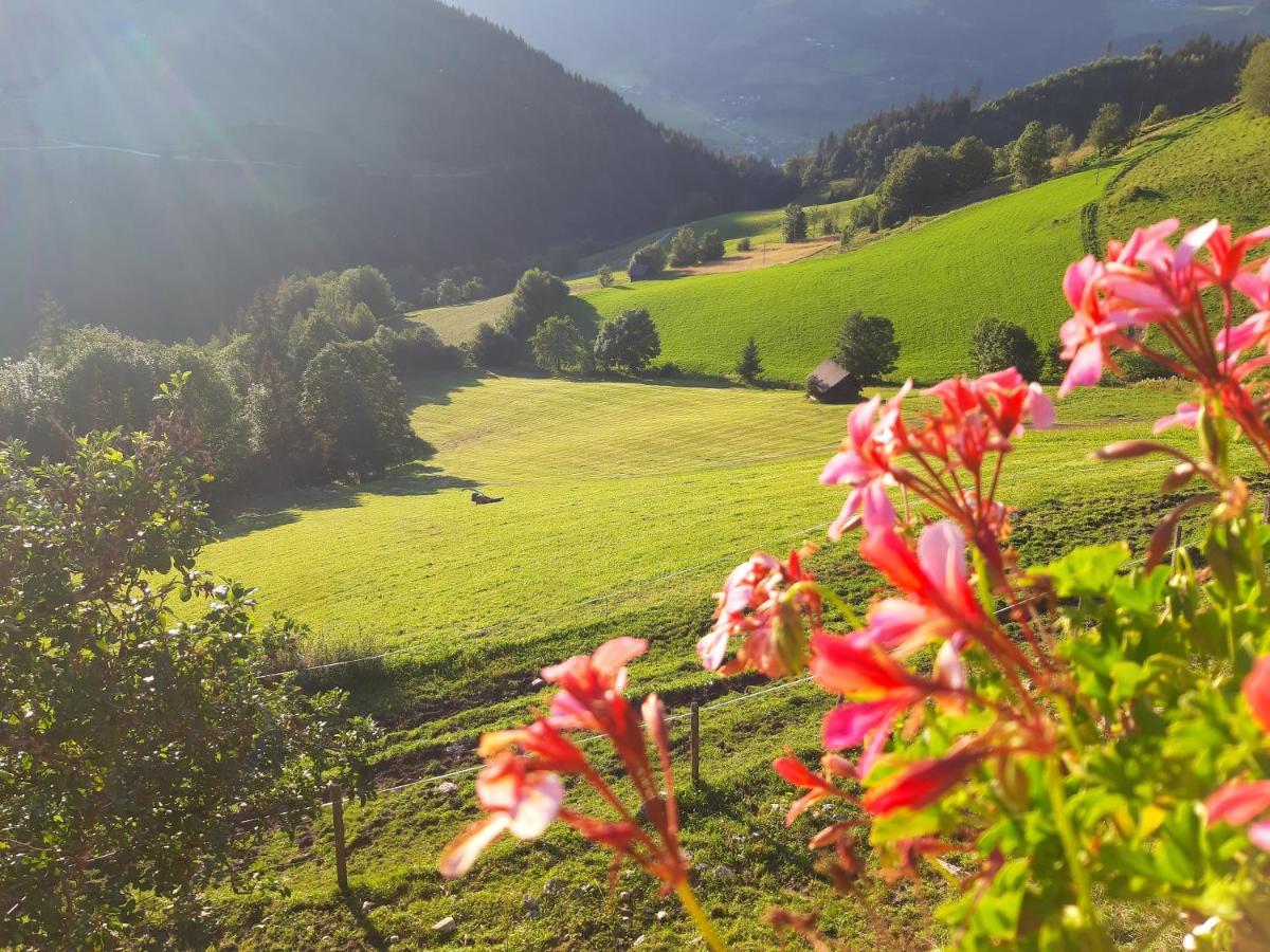 Schirfhof Villa Michaelerberg Eksteriør billede